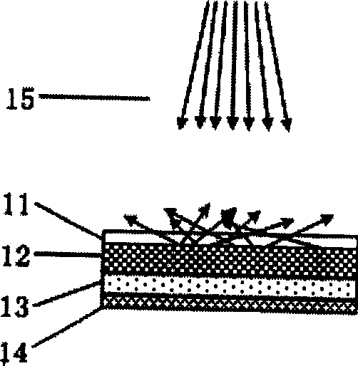 Mobile wireless network identifying system