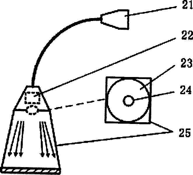 Mobile wireless network identifying system