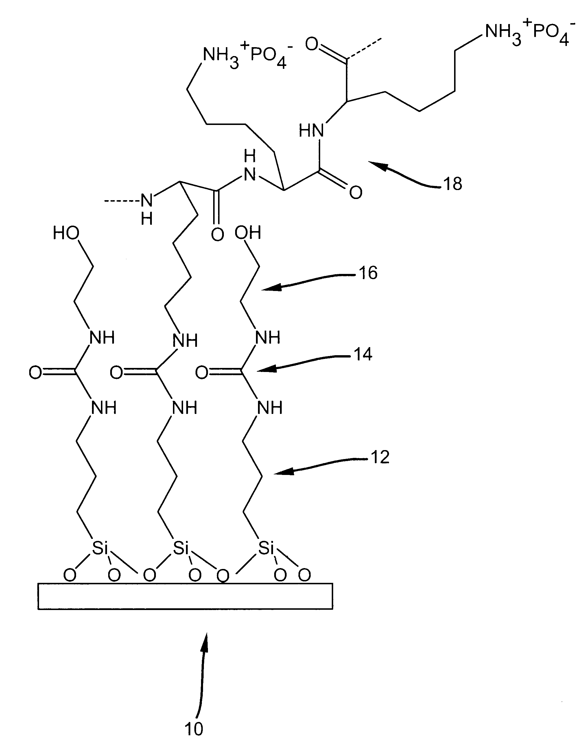 Polymer support for DNA immobilization