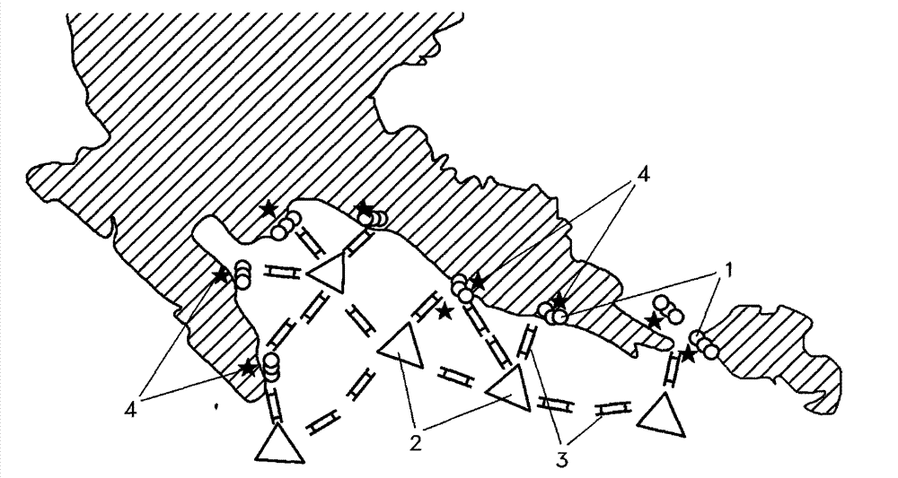 Manual fish reef device of island-and-reef ocean fishing area and distribution method thereof