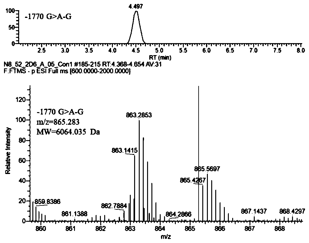 Detection method of types of CYP2D6 gene