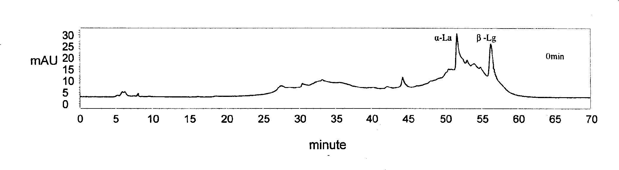 Subsensitive lactalbumin hydrolysate and preparation method thereof