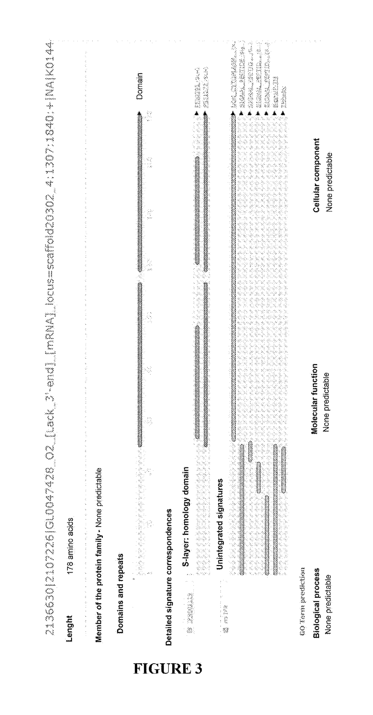 Diagnostic markers for crohn's disease