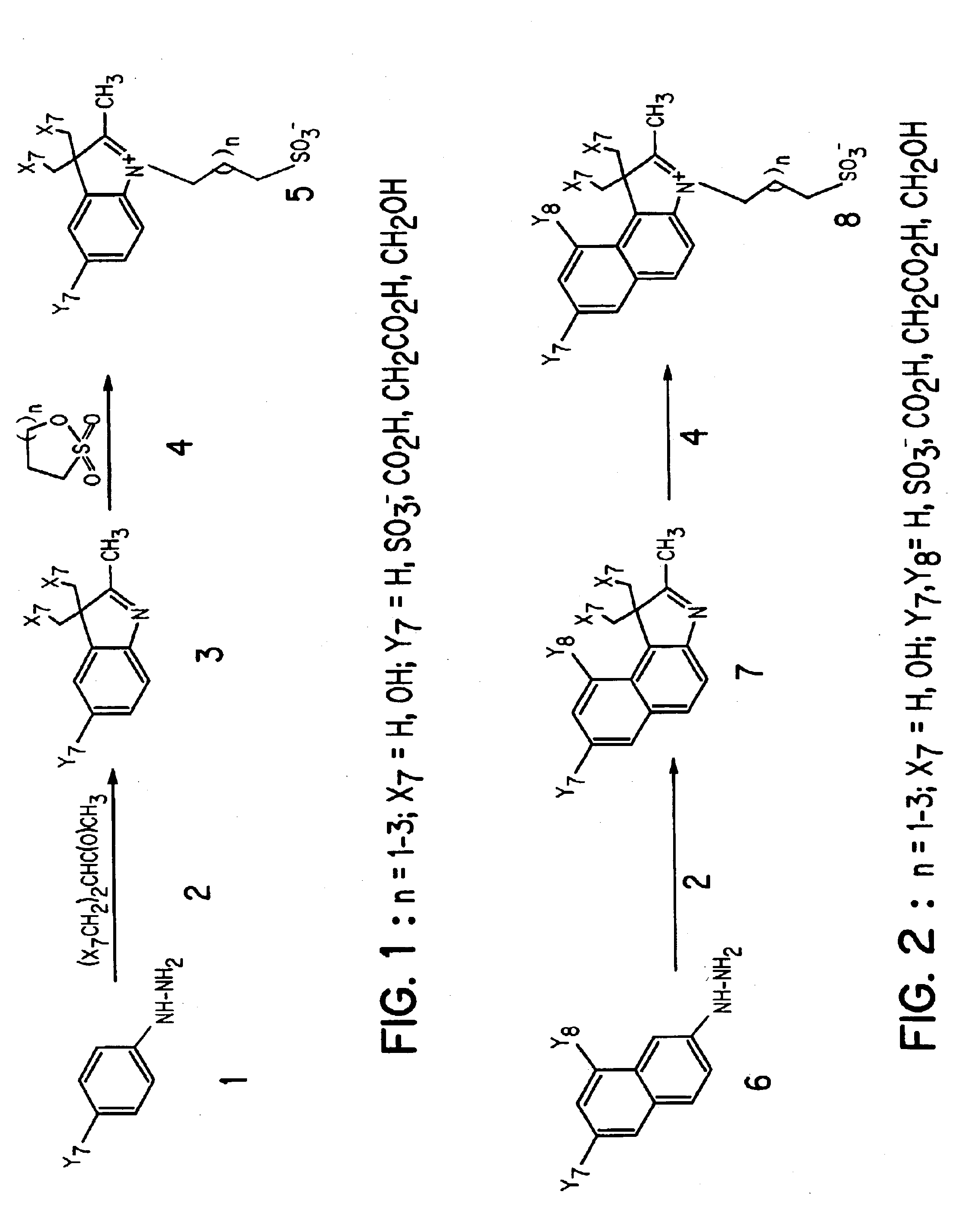 Compounds as dynamic organ function monitoring agents