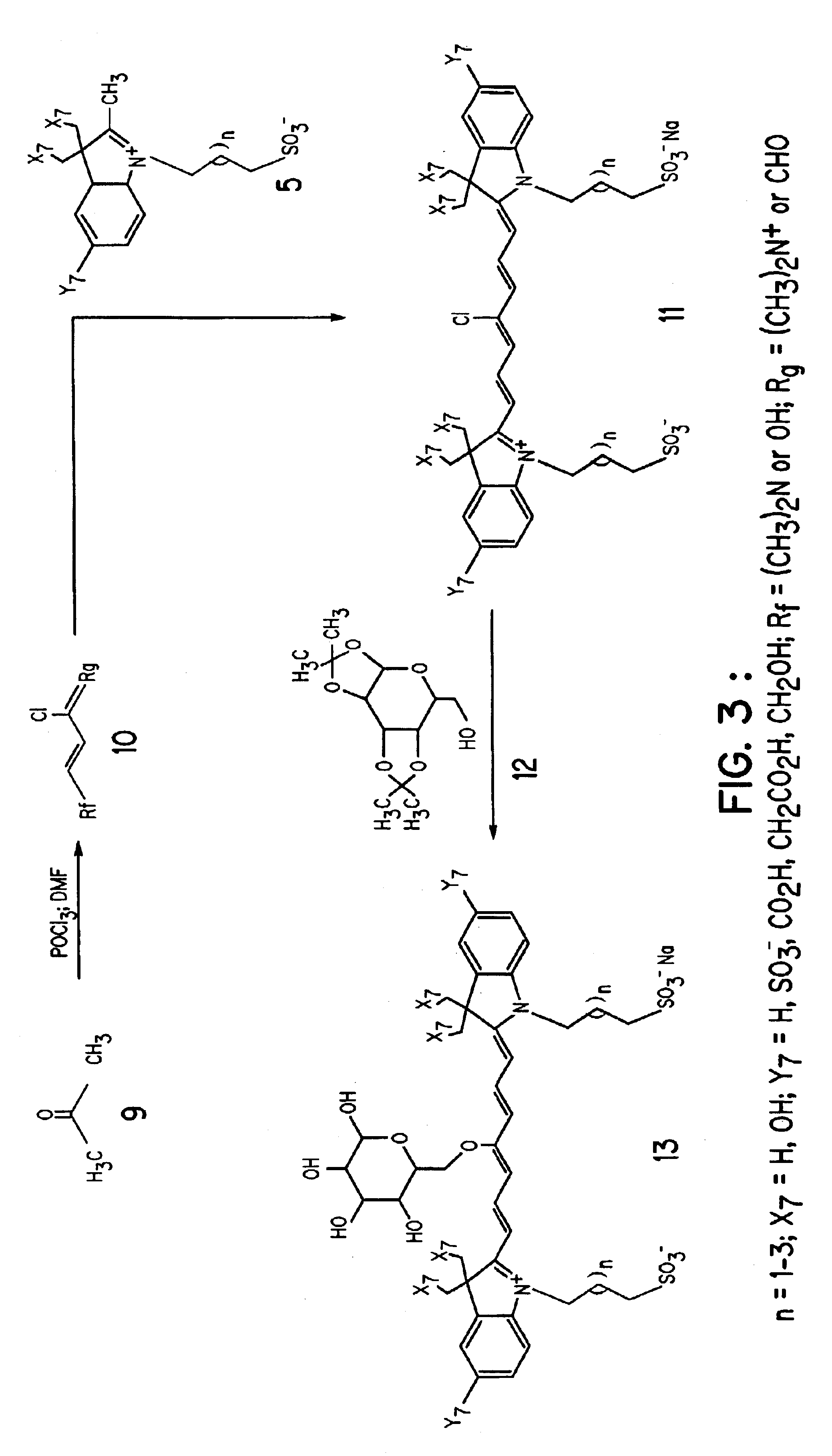 Compounds as dynamic organ function monitoring agents