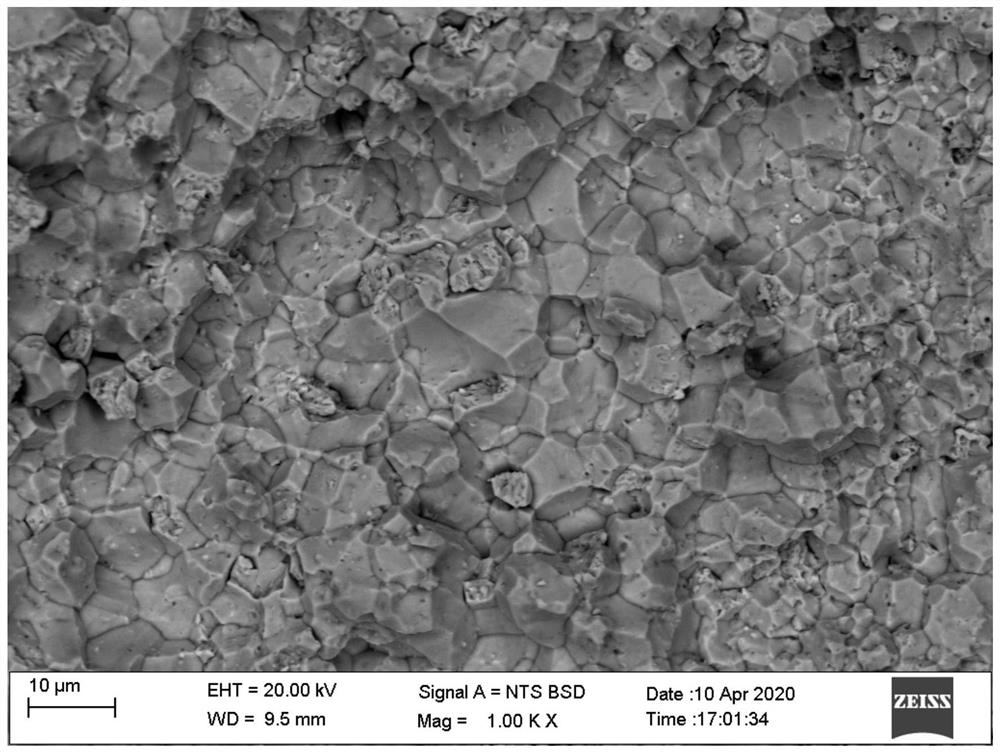 Steel austenite grain boundary display method and steel austenite grain size evaluation method