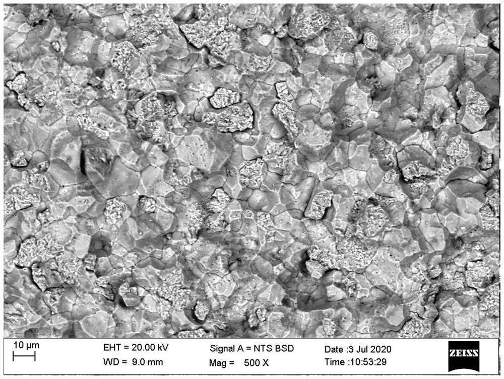 Steel austenite grain boundary display method and steel austenite grain size evaluation method