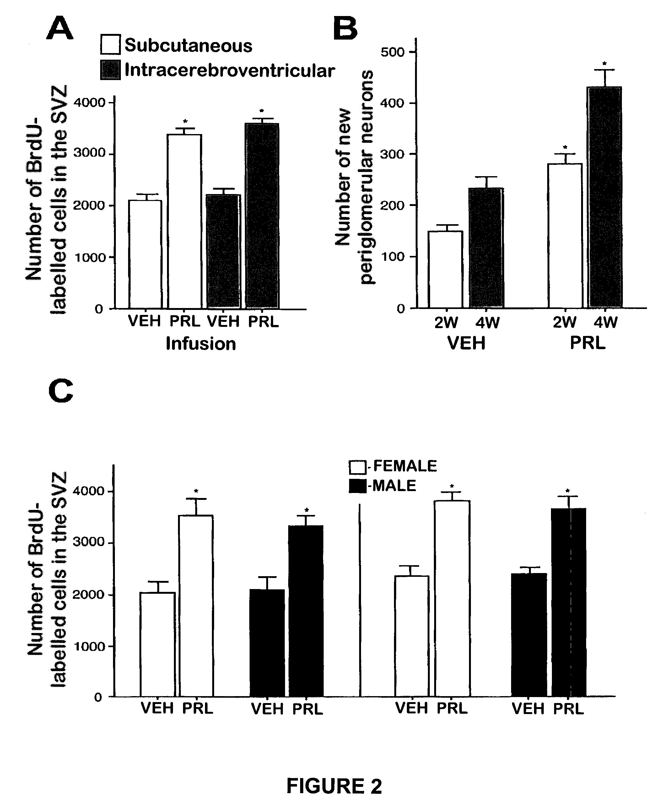 Prolactin induced increase in neural stem cell numbers