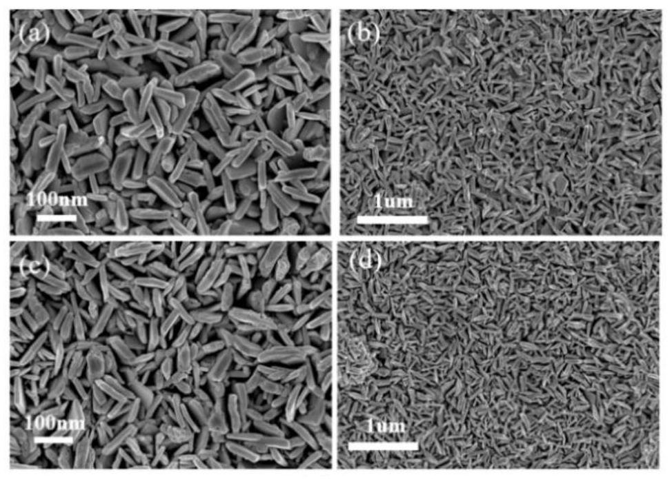 Synthesis method for converting glyoxal into glyoxylic acid through photoelectrocatalytic oxidation