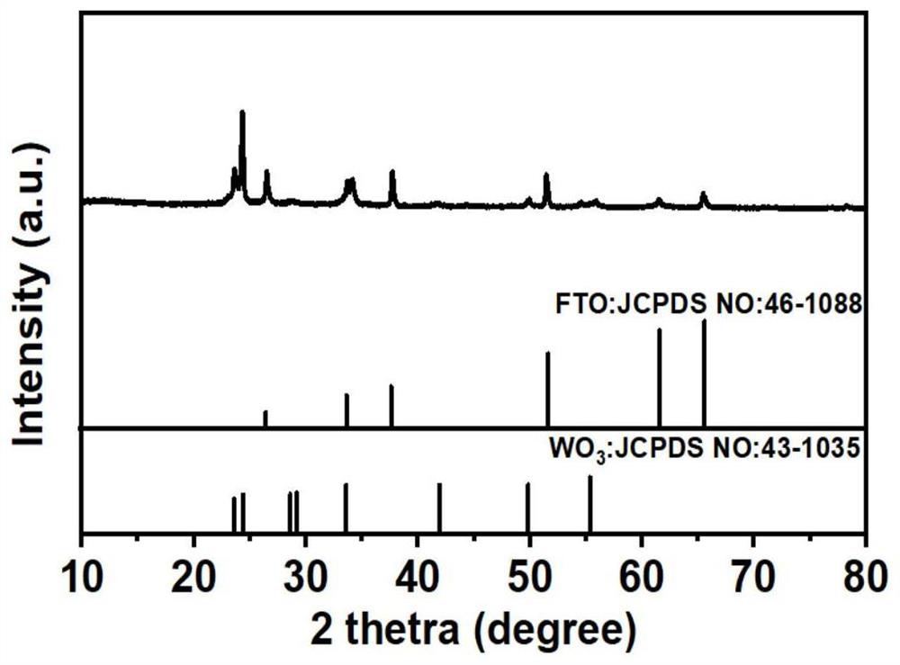 Synthesis method for converting glyoxal into glyoxylic acid through photoelectrocatalytic oxidation