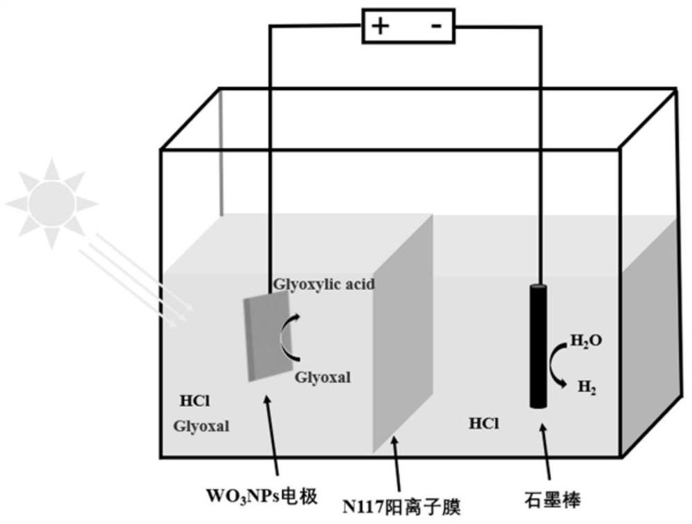 Synthesis method for converting glyoxal into glyoxylic acid through photoelectrocatalytic oxidation