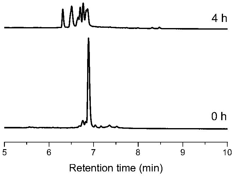 A method for constructing stable three-membered cyclic peptide based on tetrafluorophthalonitrile