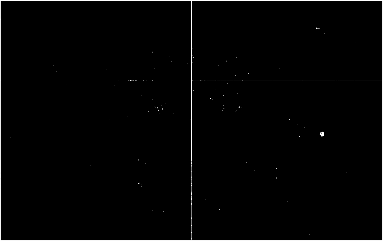 Quick splicing method for large-area-array submeter-level night scene remote sensing image