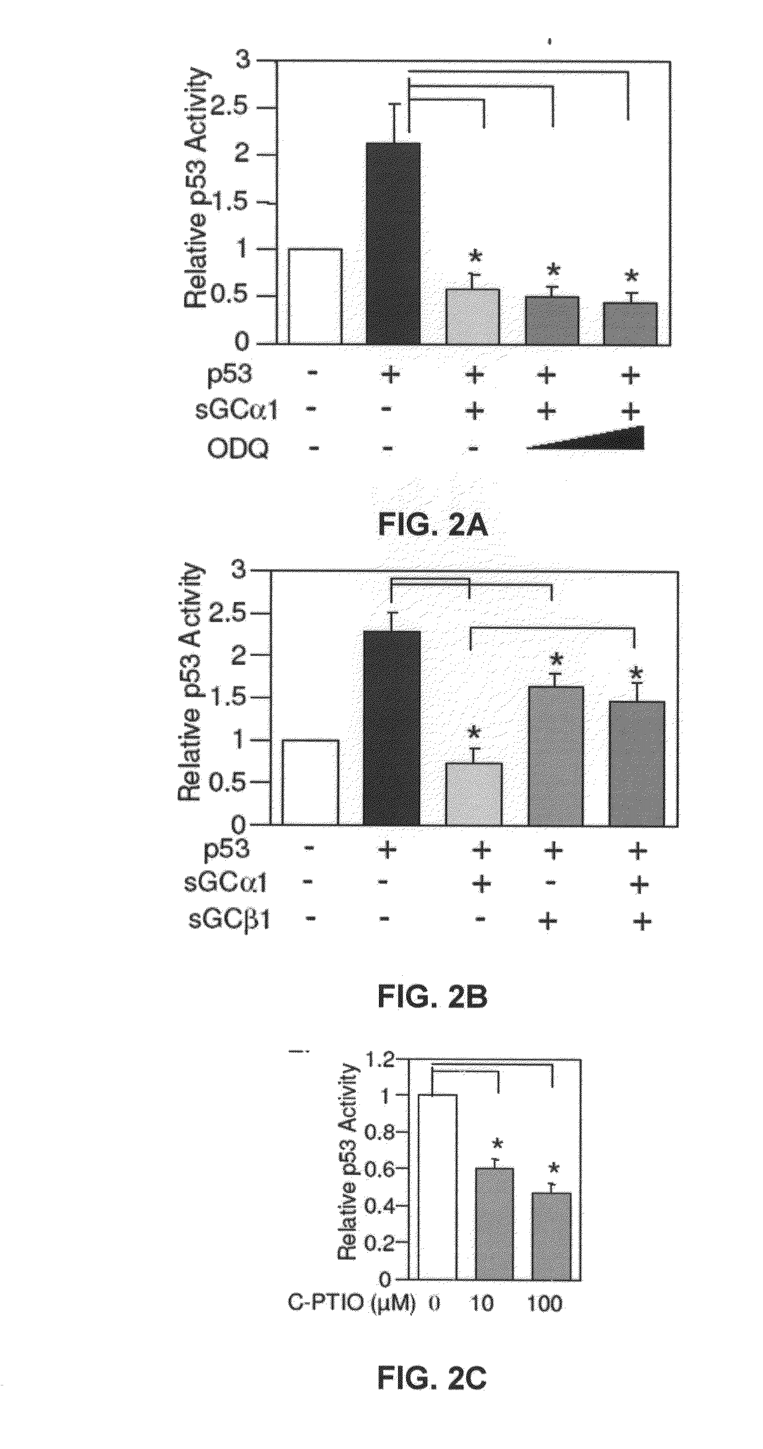 sGCalpha1 Inhibiting Compositions, and Methods of Treatment of Cancers Therewith
