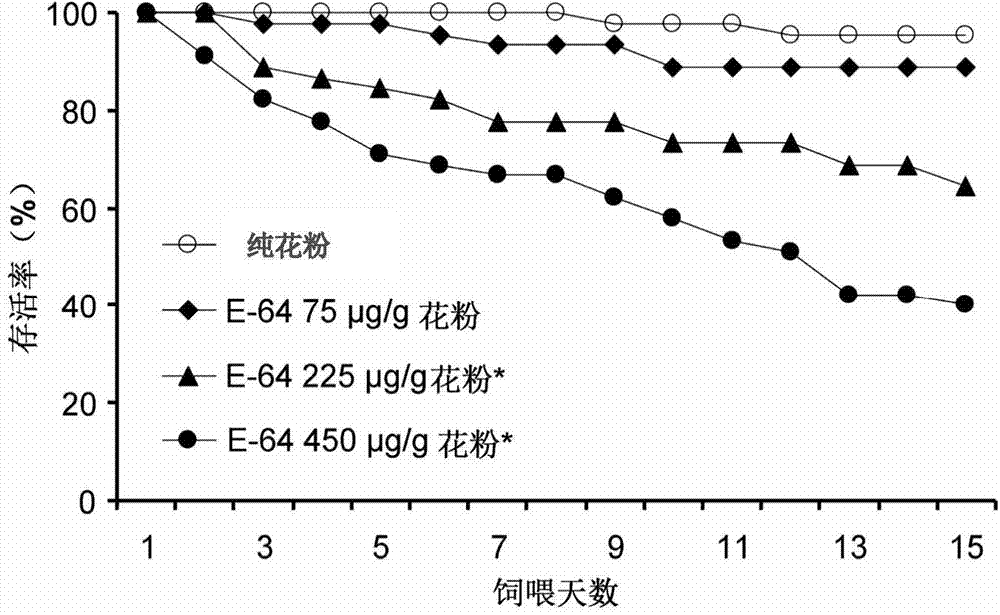 Determination method for the toxic effects of gastric toxic insecticides or transgenic insecticidal proteins on the mole beetle