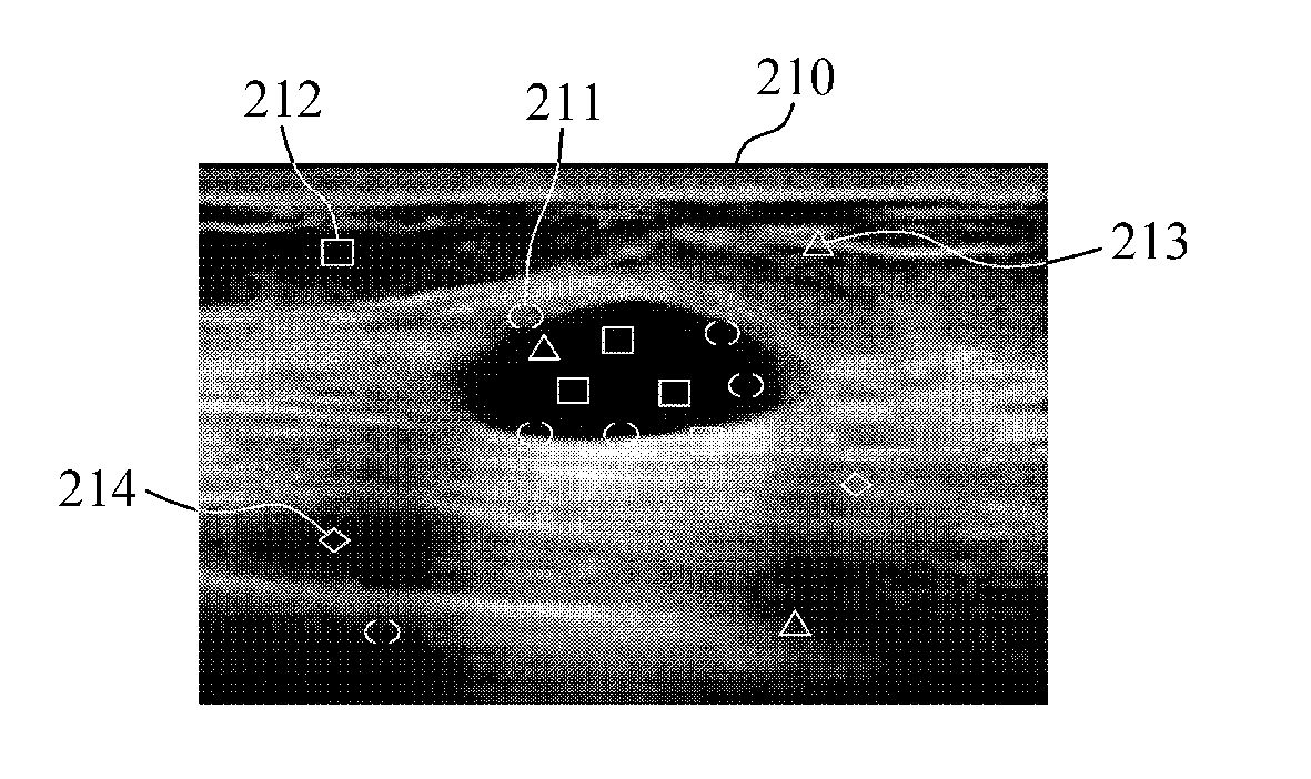 Apparatus and method for aiding imaging dignosis