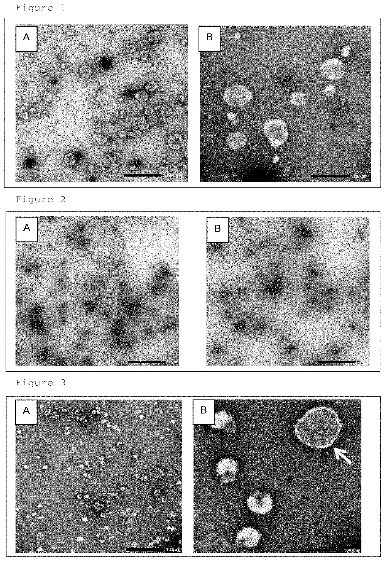 Inactivated whole-virus influenza vaccine and method for preparing same