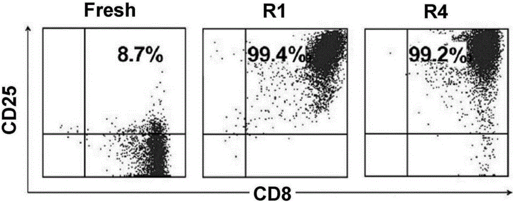 Method for inducing in-vitro expansion of CD8&lt;+&gt; regulatory T cells by immunosuppressants