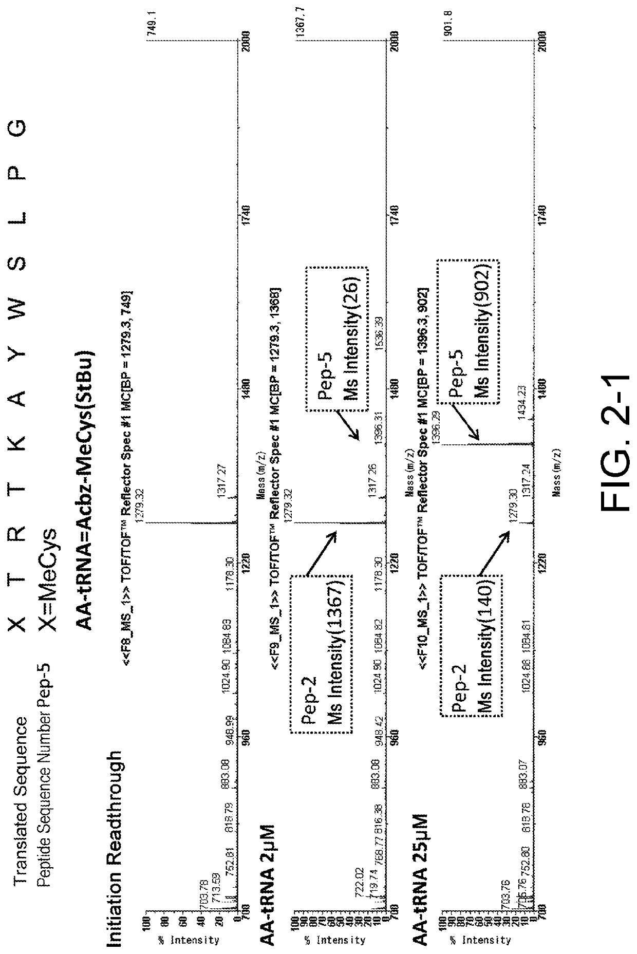 Production method for noncyclic peptide-nucleic acid complex having, at n-terminal, amino acid with thiol group near amino group, library thereof, and cyclic peptide-nucleic acid complex library derived from same