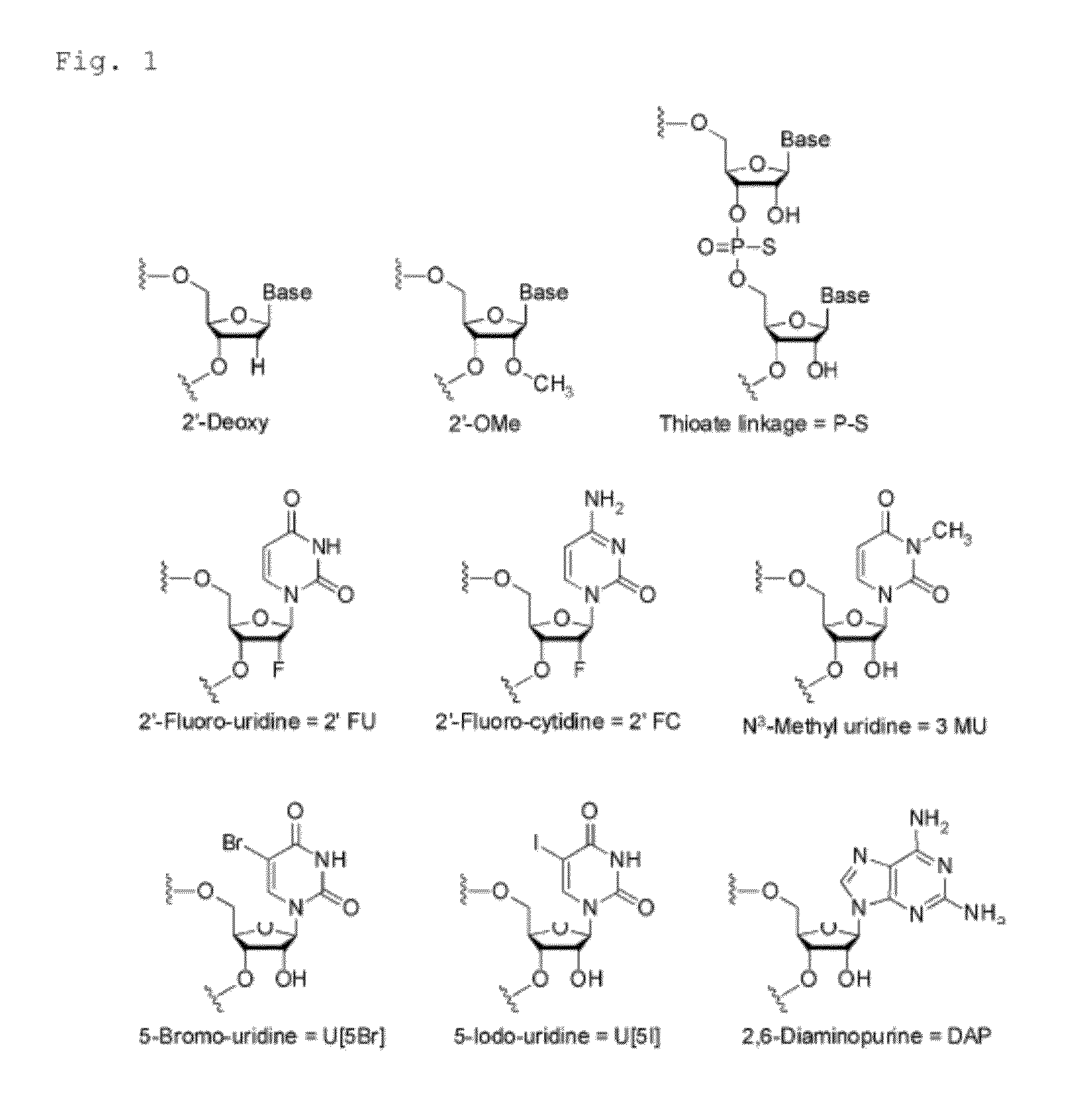 Aromatic compound, modification carrier that uses same and is used  for synthesizing an oligonucleotide derivative, oligonucleotide derivative, and oligonucleotide construct