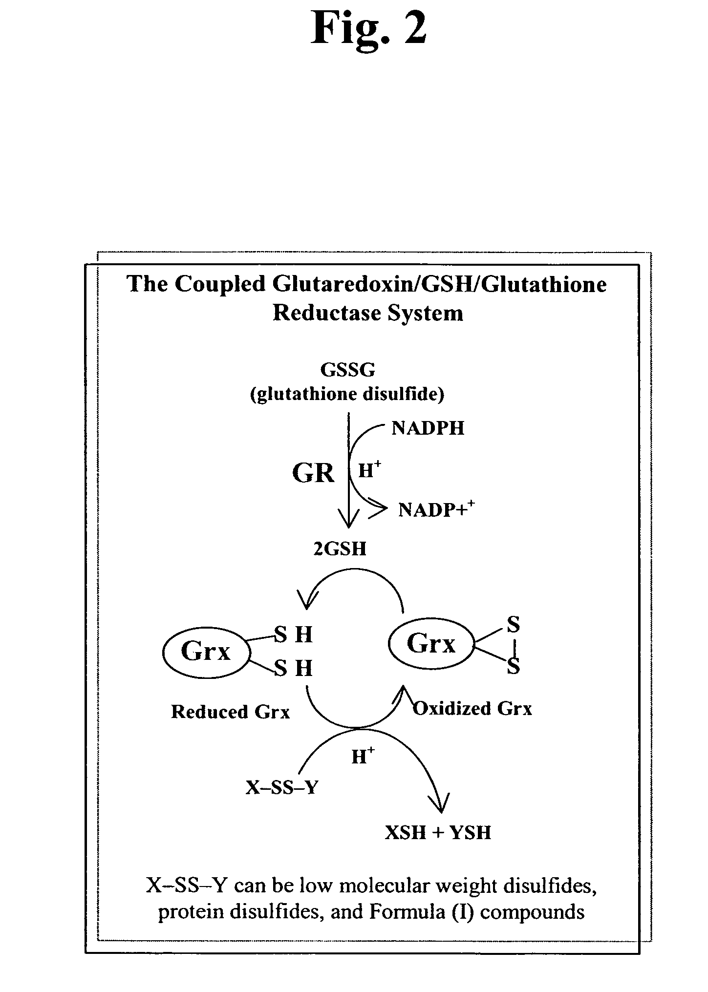 Compositions and methods of use of compounds to increase cancer patient survival time