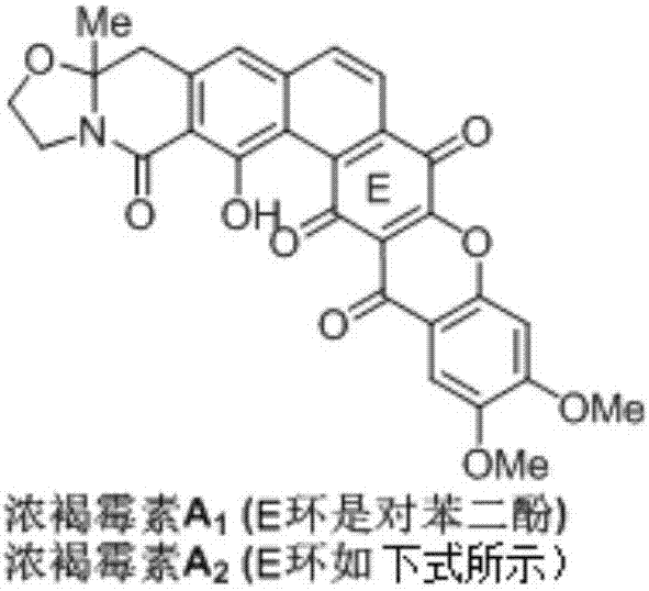 Synthetic method of Fuan mycin skeleton