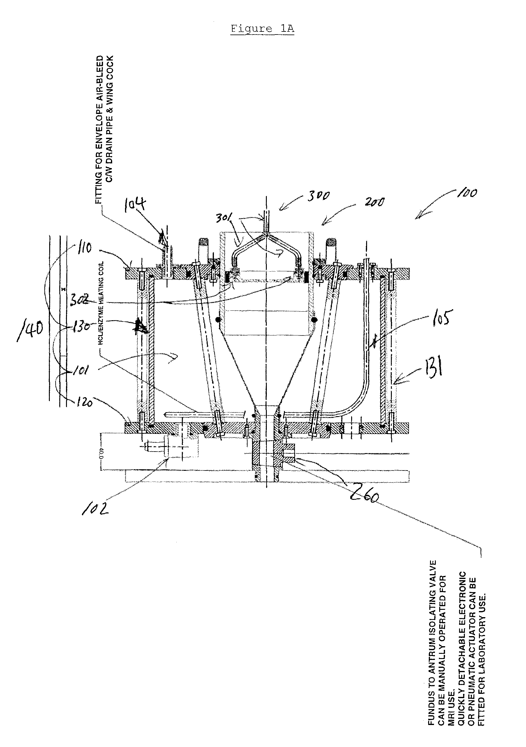 Dynamic gastric model