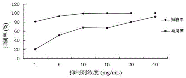 Preparation method of sargassum oligosaccharide and application of sargassum oligosaccharide in hypoglycemic drugs