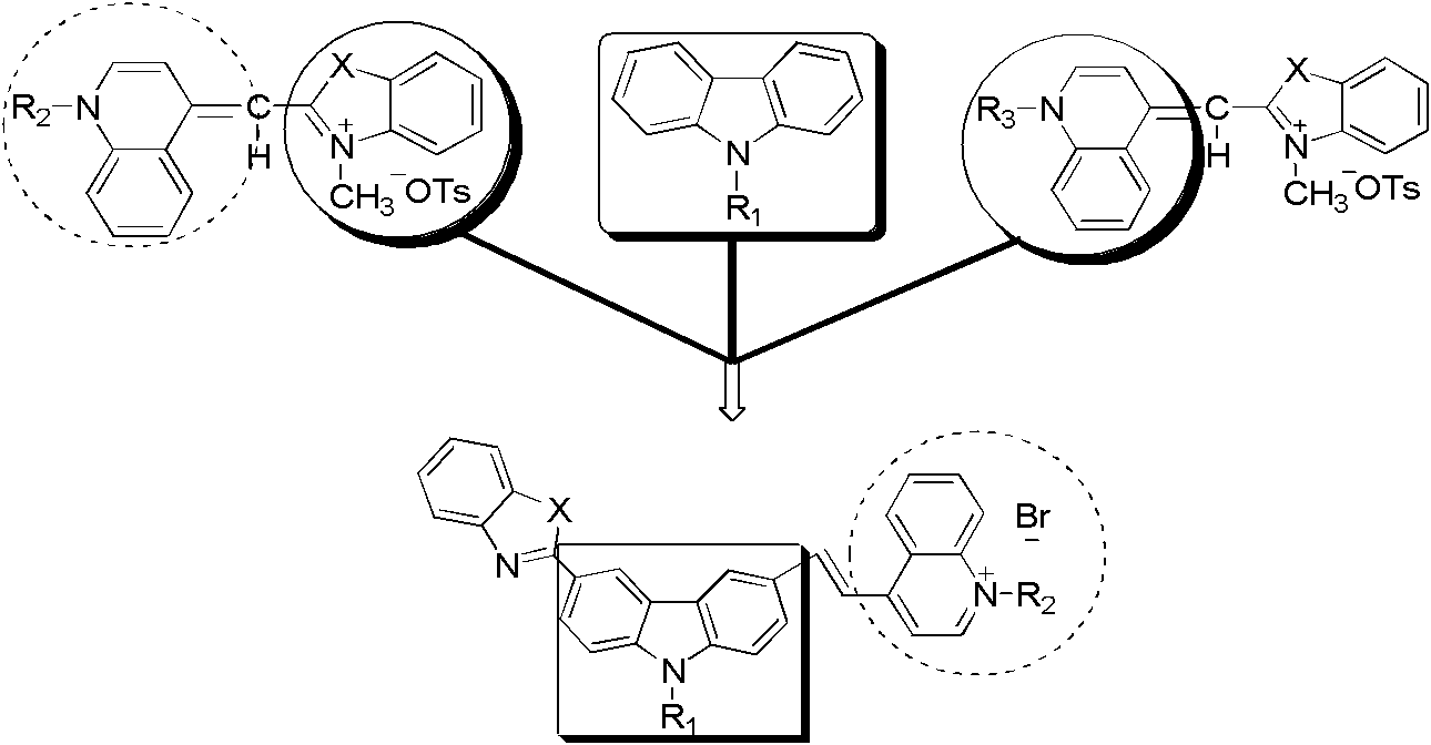 Novel carbazole-bridge-based fluorescent cyanine dye probe and preparation method thereof