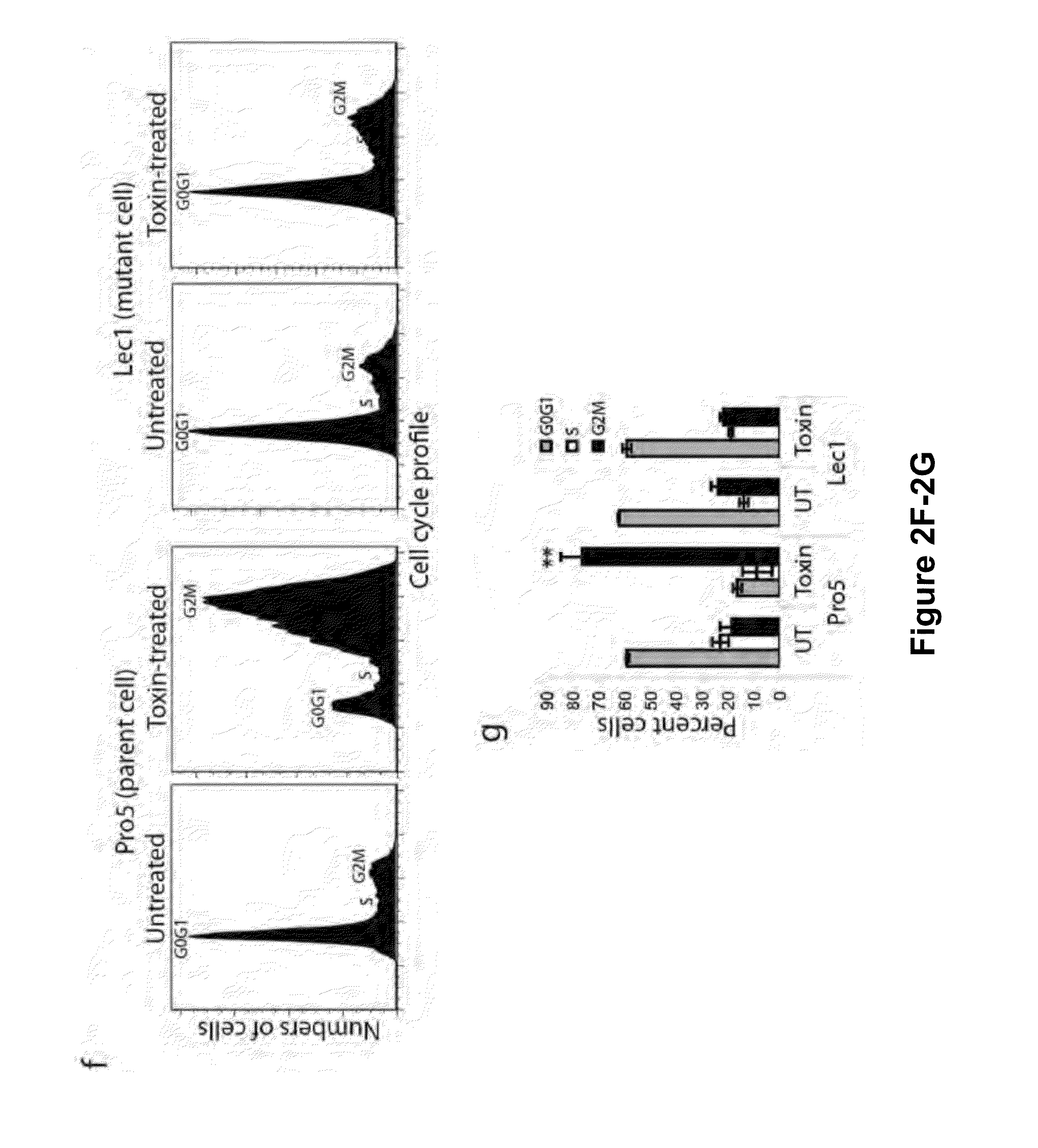 Compositions and Methods for Preventing and Treating Salmonella Typhi and Salmonella Paratyphi Infection
