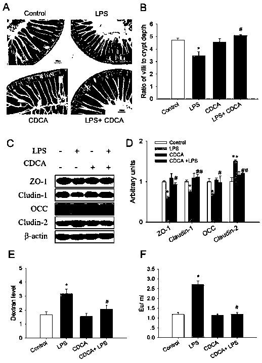 Application of chenodeoxycholic acid in improving intestinal barrier function damage in animals