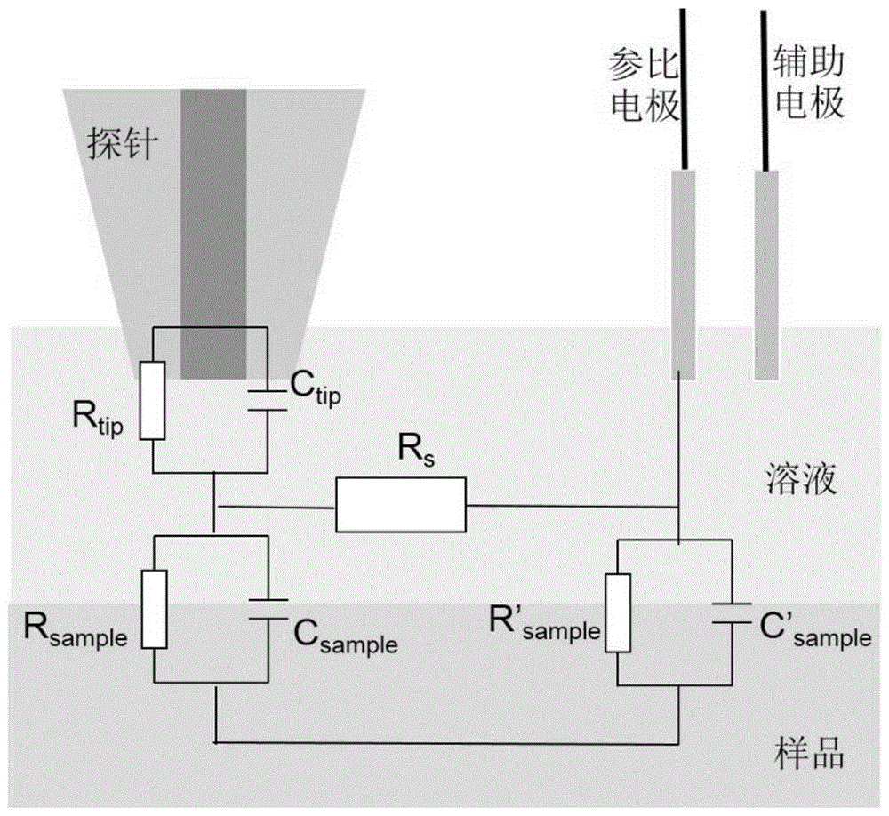 Electrochemical detection device for local area topography scanning