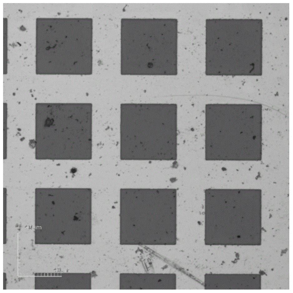 Electrochemical detection device for local area topography scanning