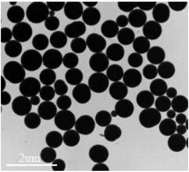 Novel green single-dispersed silica nanoparticle preparation method