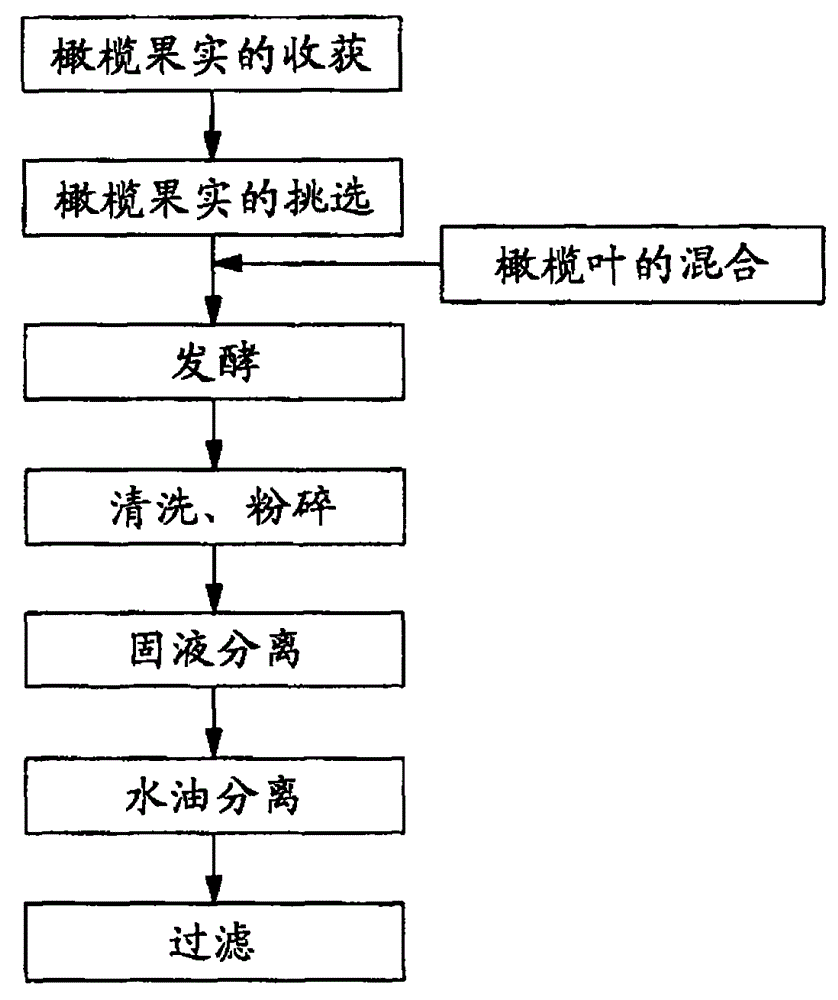 Olive extract oil and its manufacturing method