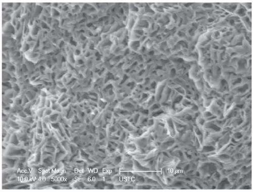 Bifunctional hydrogel polymer composite material, its preparation method and use