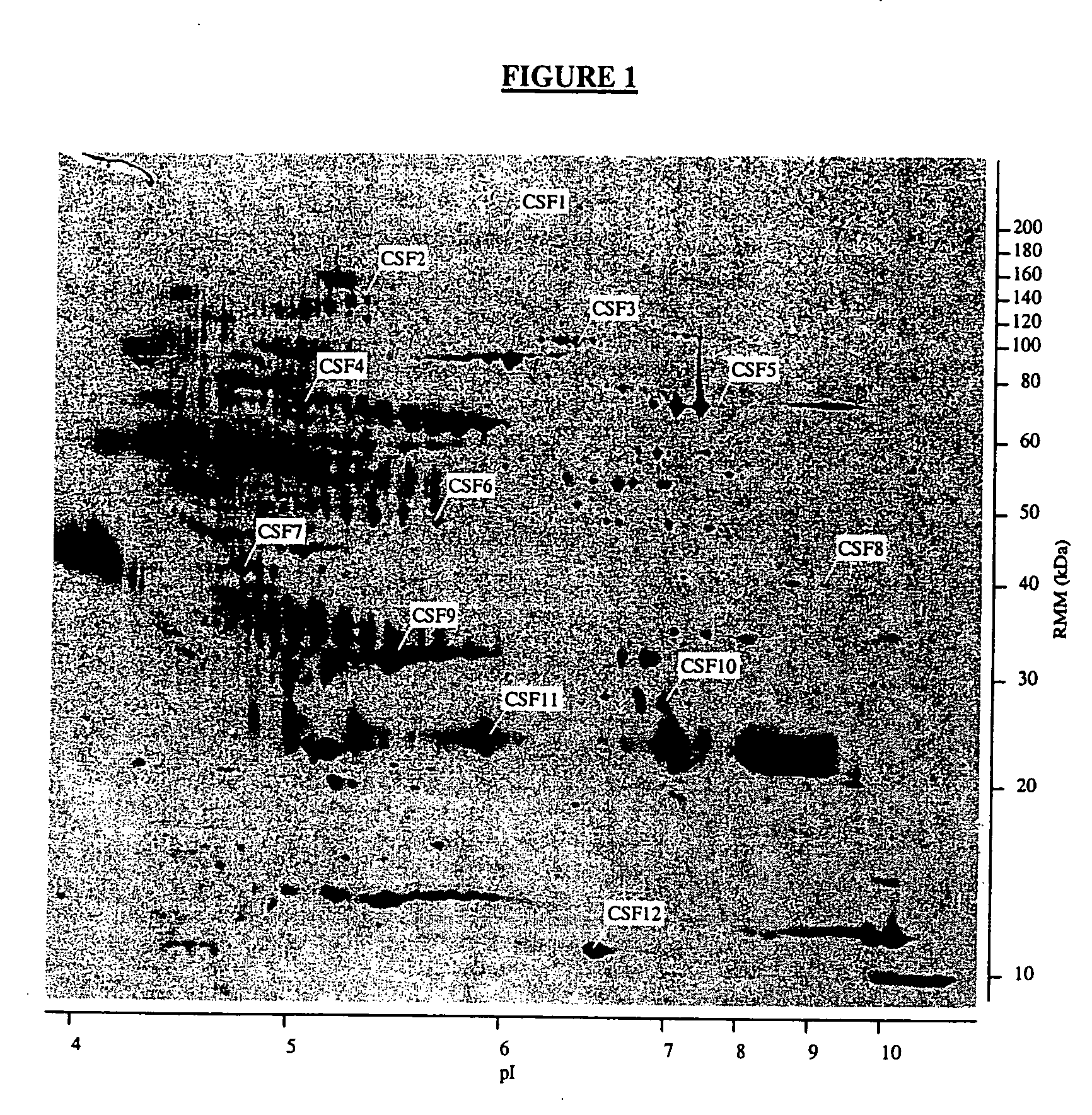 Nucleic acid molecules, polypeptides and uses therefor, including diagnosis and treatment of Alzheimer's disease