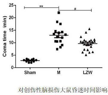 Traditional Chinese medicine composition for central nervous injury complicated with secondary pulmonary infection and application of traditional Chinese medicine composition