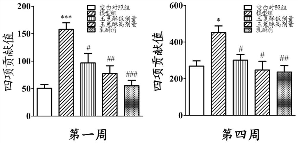A kind of medicine for treating mammary gland hyperplasia containing flat lying chrysanthemum notoginseng and its preparation method and application