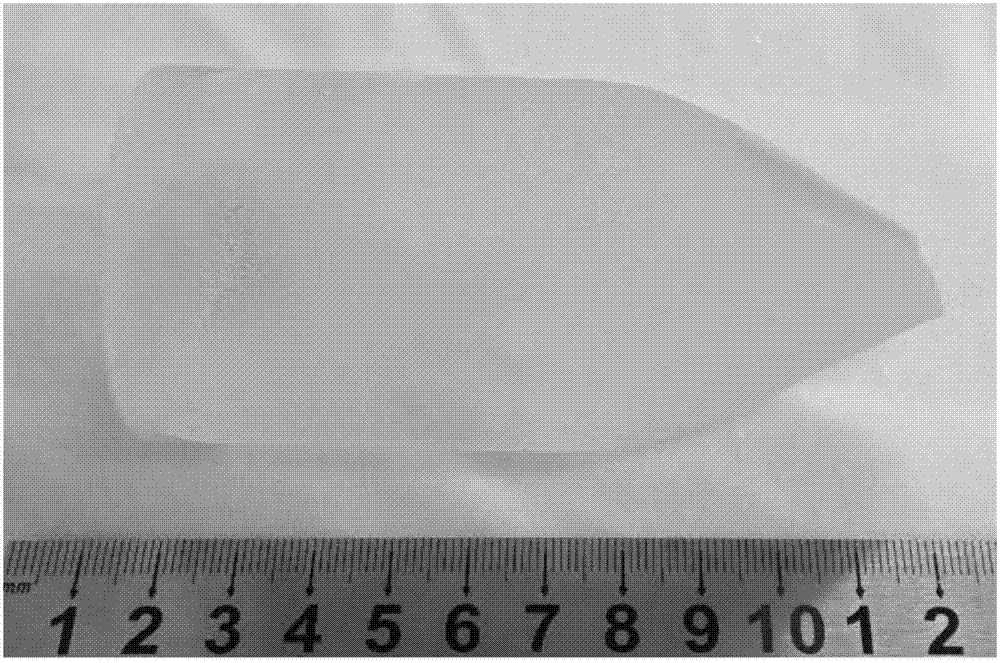 Growth method for lanthanum bromide scintillating crystal and obtained crystal