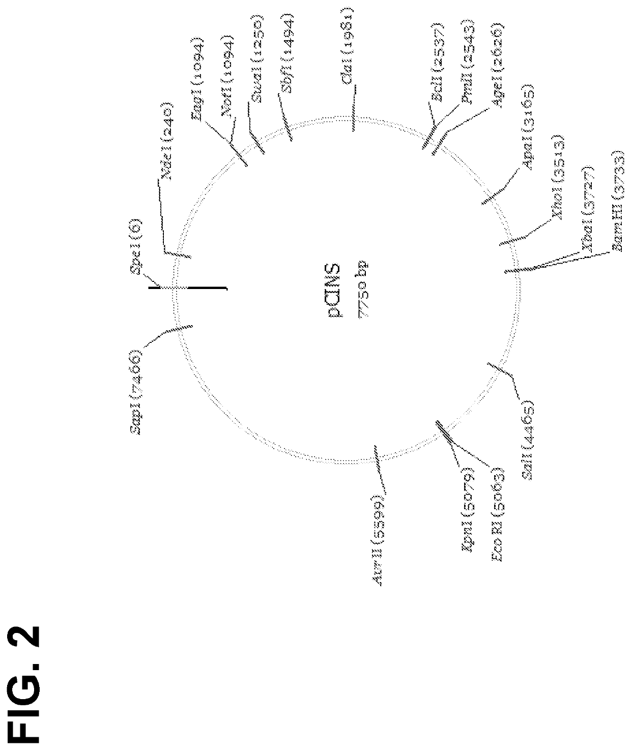 Optimized lentiviral transfer vectors and uses thereof