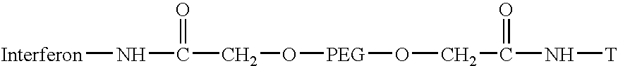 Targeted hydrophilic polymer, binders with interferon and medical composite comprising above binders