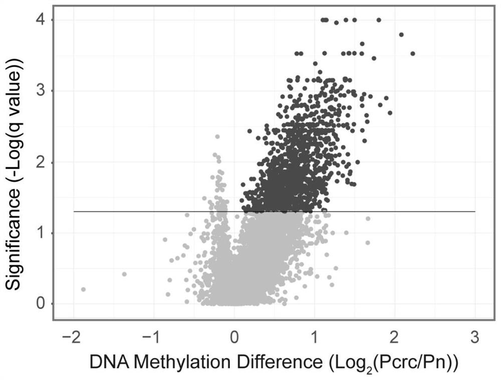 DNA methylation marker for colorectal cancer, and method and kit for detecting colorectal cancer by using DNA methylation marker