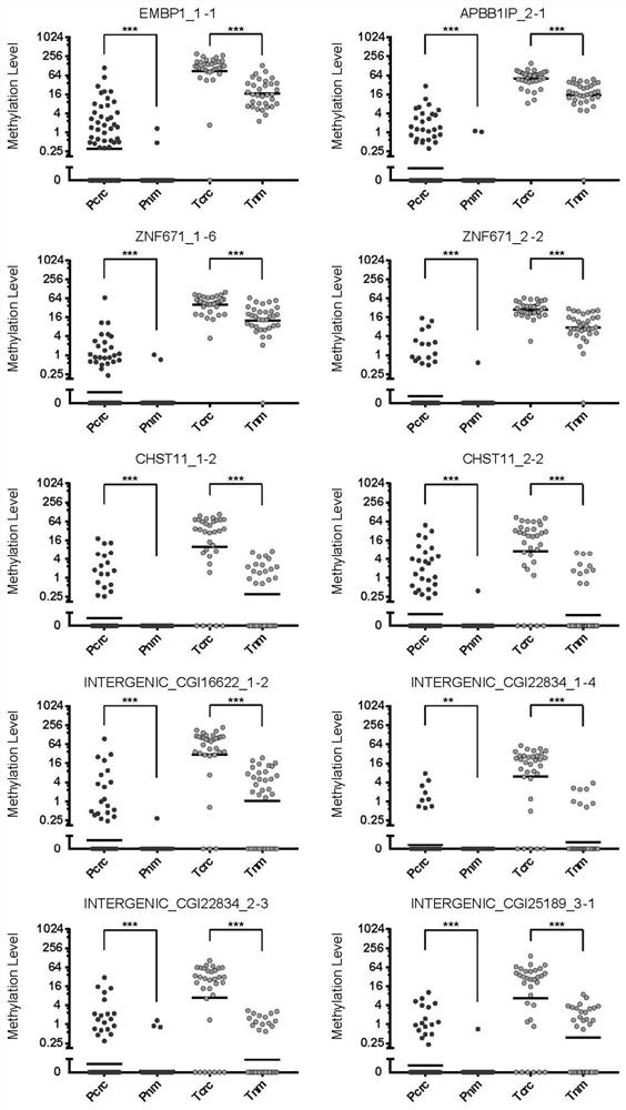 DNA methylation marker for colorectal cancer, and method and kit for detecting colorectal cancer by using DNA methylation marker