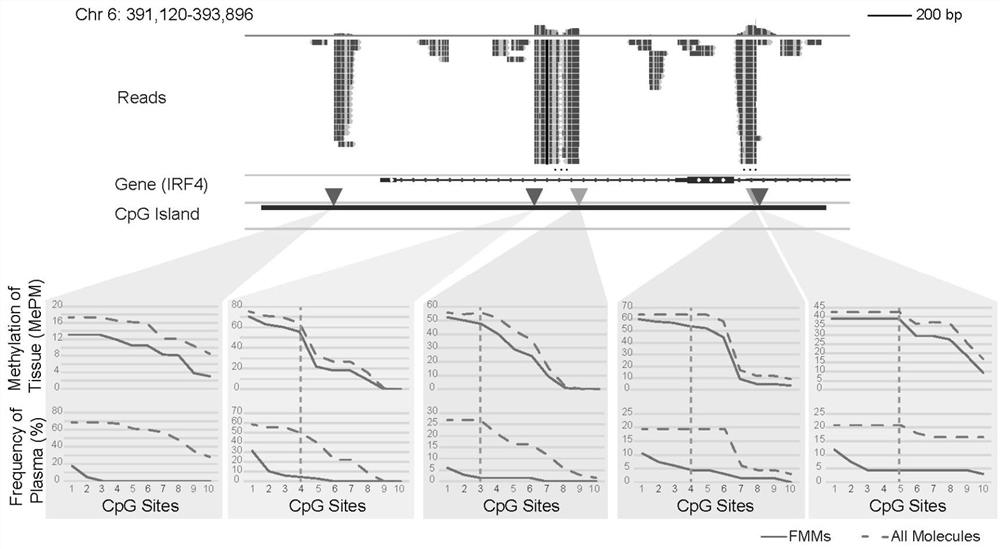 DNA methylation marker for colorectal cancer, and method and kit for detecting colorectal cancer by using DNA methylation marker