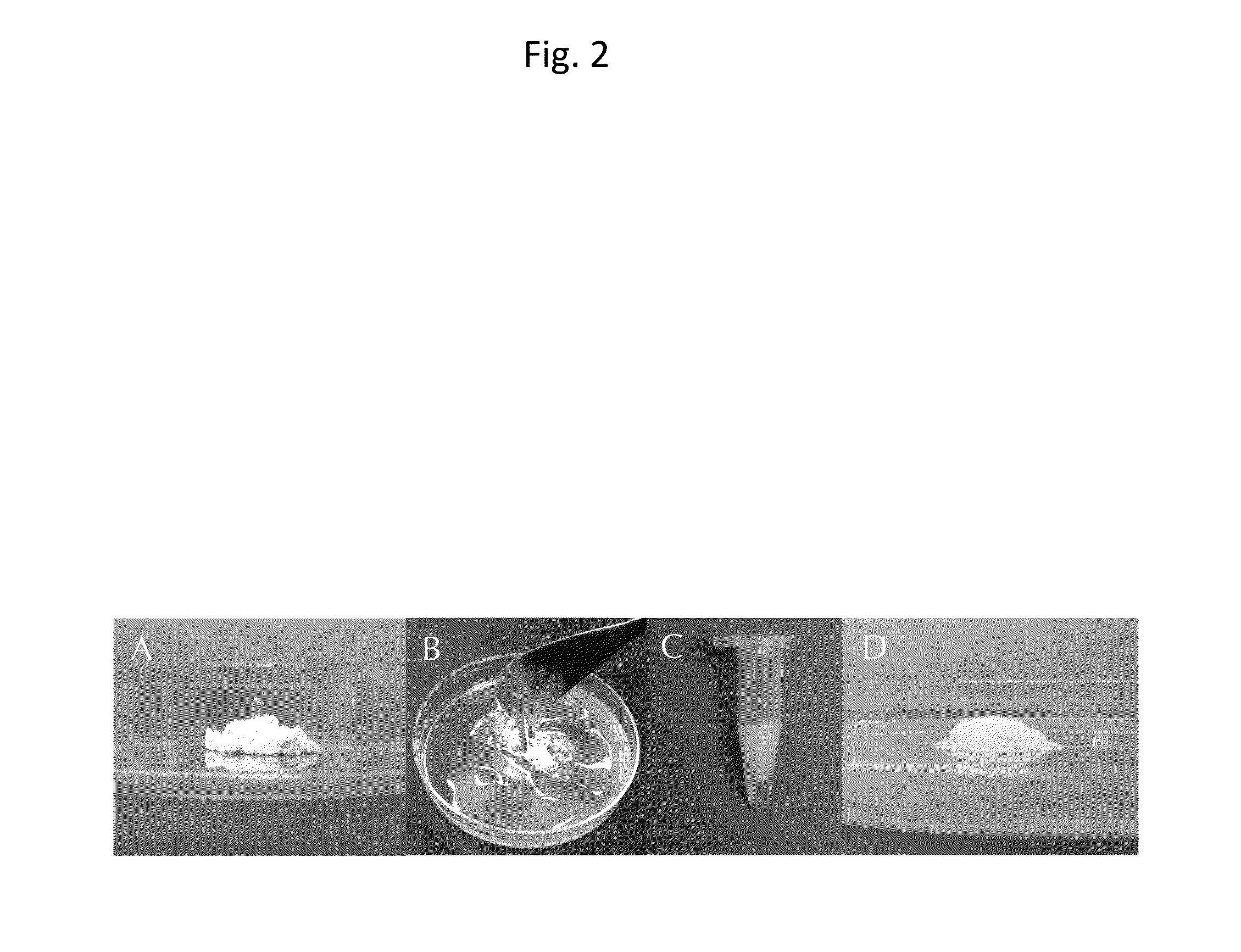 Injectable composition for in-situ repair and regeneration of an injured ligament or tendon and methods of use