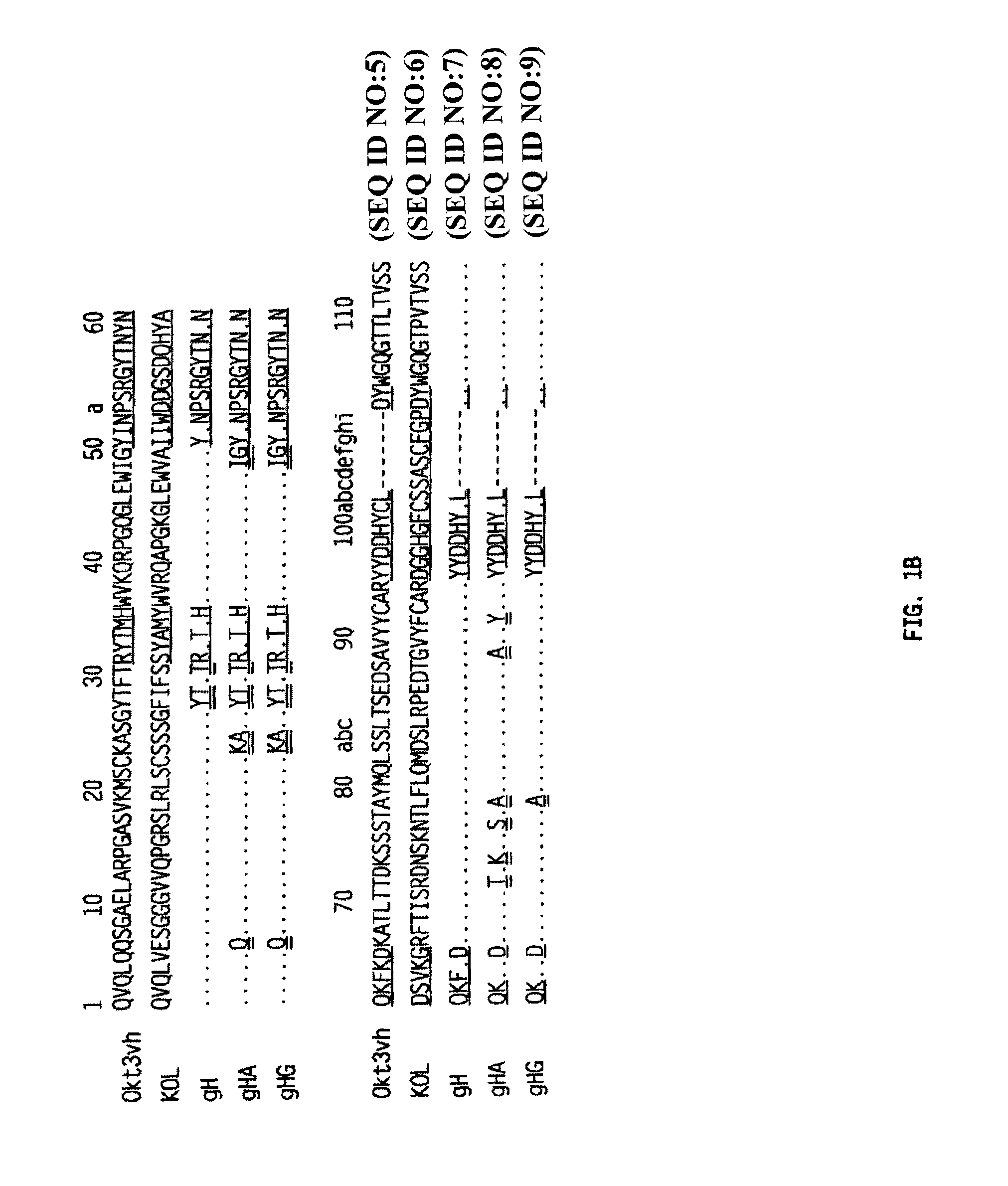 Methods for the treatment of autoimmune disorders using immunosuppressive monoclonal antibodies with reduced toxicity