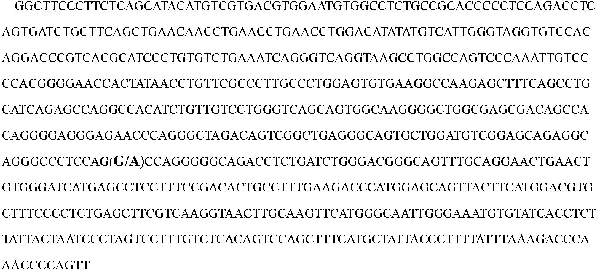 Genetic marker related to growth trait of goat and application thereof