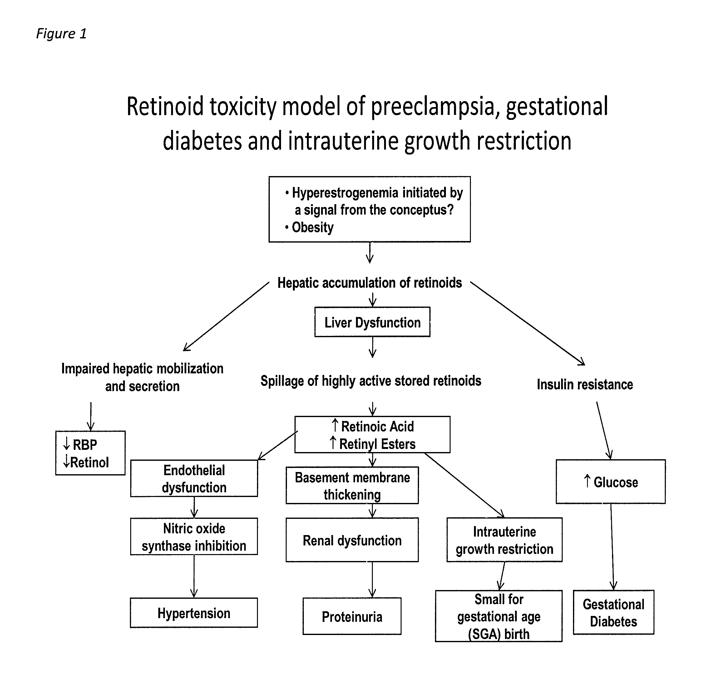 Method for diagnosing gestational diabetes, preeclampsia, and fetal growth restriction
