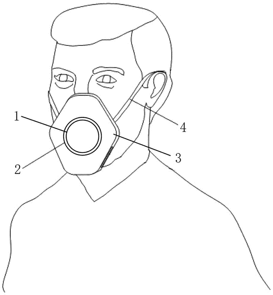 Filter mask for harmful particulate pollutants